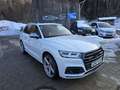 Audi SQ5 3.0 TFSI quattro Weiß - thumbnail 3