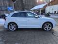 Audi SQ5 3.0 TFSI quattro Weiß - thumbnail 4