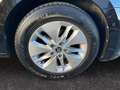Skoda Octavia Combi Ambition 1.5 TSI ACT 4xSHZ ACC LED Schwarz - thumbnail 15