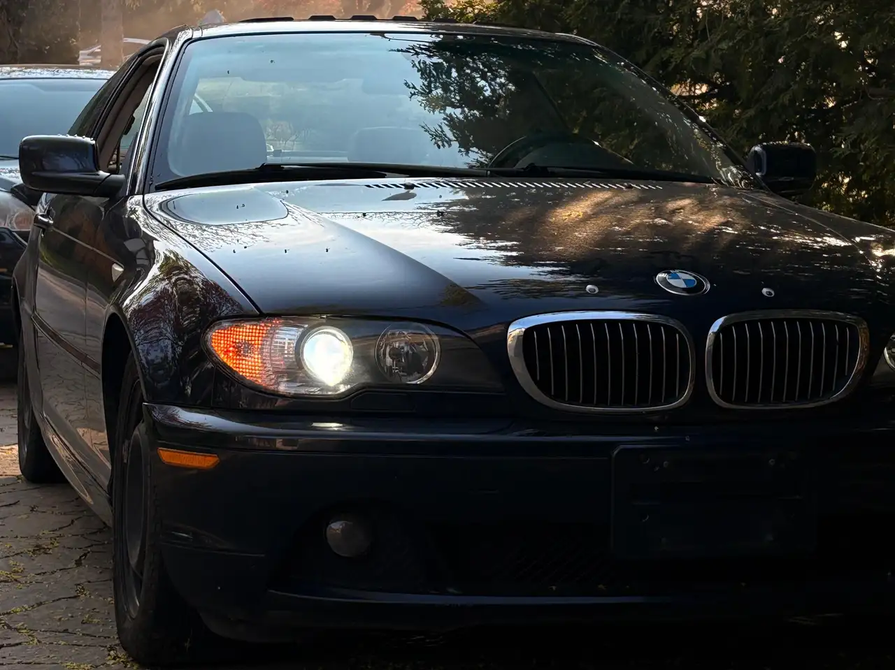 2004 BMW 3 Series