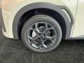BYD Dolphin Surf Boost Weiß - thumbnail 14