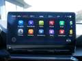 CUPRA Formentor 2.0 TDI 4Drive KAMERA NAVI ACC LED Grau - thumbnail 12