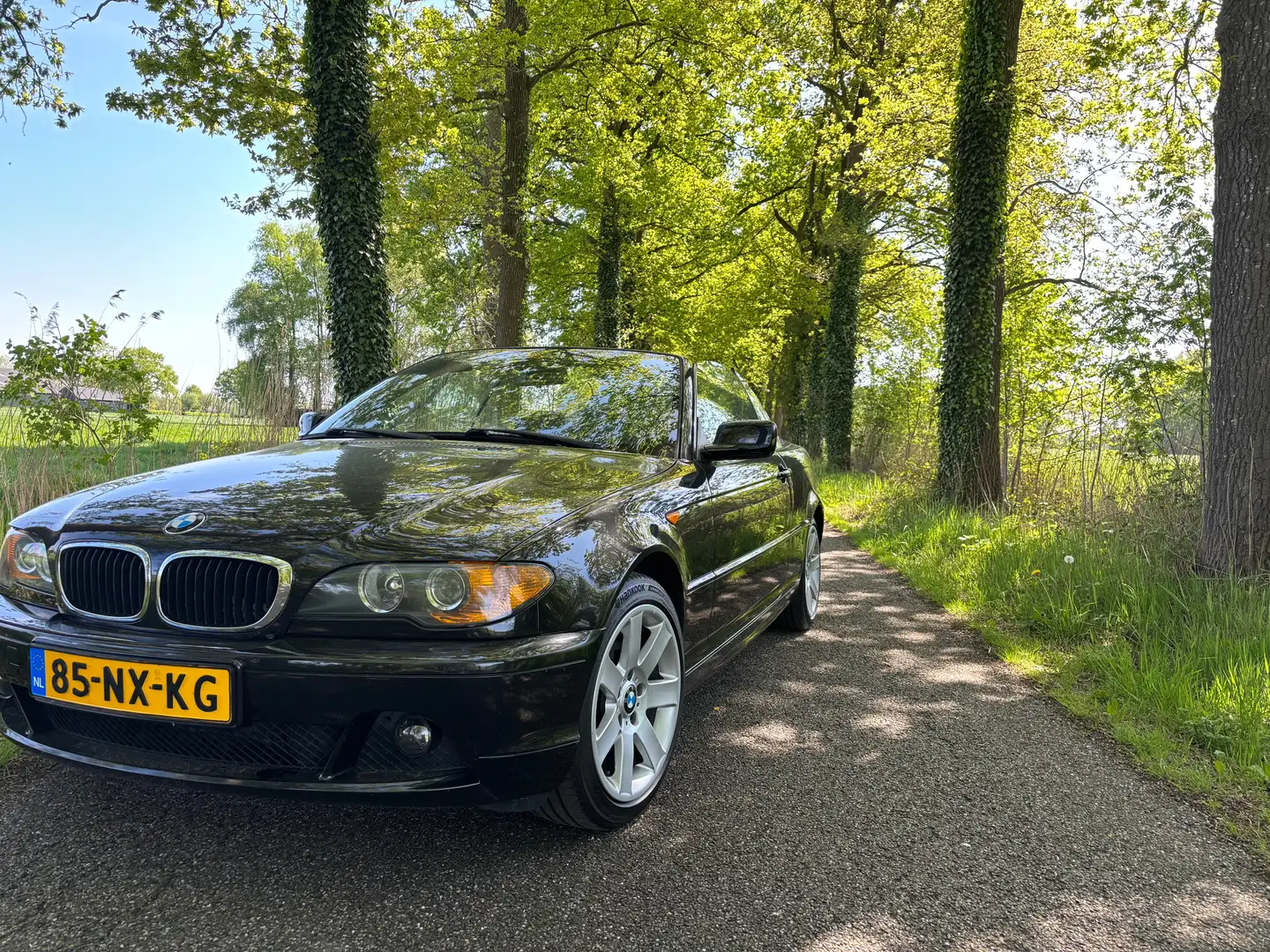 BMW 318 330 318Ci Executive Zwart - 1