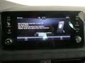 Skoda Scala Selection TSI DSG Gris - thumbnail 10