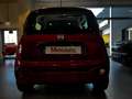 Fiat Panda Cross 1.2 City Cross Rosso - thumbnail 6