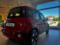 Fiat Panda Cross 1.2 City Cross Rosso - thumbnail 5
