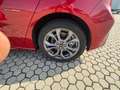 Ford Focus Focus 1.0t ecoboost h ST-Line X 125cv Rot - thumbnail 12