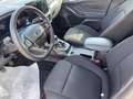 Ford Focus Focus 1.0t ecoboost h ST-Line X 125cv Rot - thumbnail 9