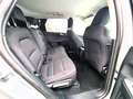 Ford Kuga 2.5 phev Titanium 2wd 225cv e-shifter- GC058JH Grigio - thumbnail 10