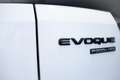 Land Rover Range Rover Evoque 1.5 P300e AWD Autob. Wit - thumbnail 8