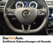 Skoda Superb SportLine TDI DSG Grau - thumbnail 19