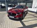Mazda CX-30 2.5L e-SKYACTIV G 140ps 6AT Exclusive-line Rot - thumbnail 1