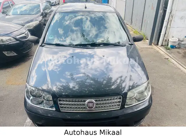 Fiat Punto view 7