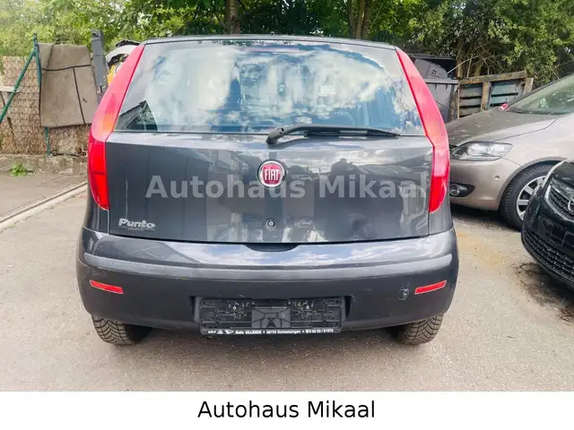 Fiat Punto view 5