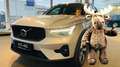 Volvo XC40 B4 P. Dark PILOT LEDER PIXEL NAVI 360° PANO Silber - thumbnail 1