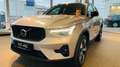 Volvo XC40 B4 P. Dark PILOT LEDER PIXEL NAVI 360° PANO Silber - thumbnail 2