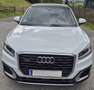 Audi Q2 Q2 2,0 TDI quattro S-tronic Design Weiß - thumbnail 4