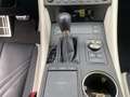 Lexus RC F Advantage FLA ParkAss. ACC SpurW Leder SpurH Grey - thumbnail 14