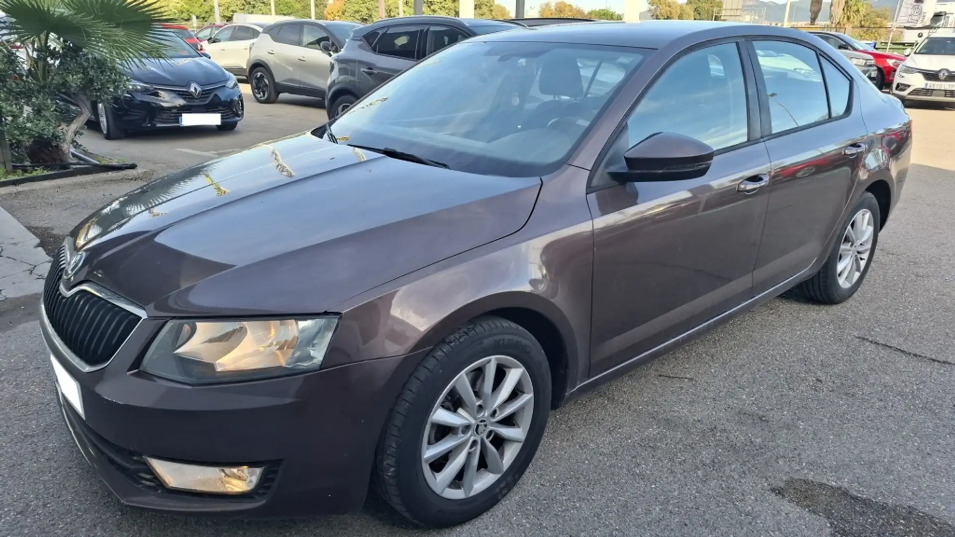Skoda Octavia 1.6TDI CR Active 105 Marrón - 1