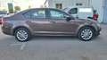 Skoda Octavia 1.6TDI CR Active 105 Marrón - thumbnail 7