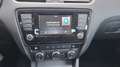 Skoda Octavia 1.6TDI CR Active 105 Marrón - thumbnail 14