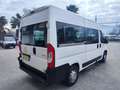 Peugeot Boxer 330 2.0 BlueHDi TRASPORTO DISABILI MOTORE NUOVO - thumbnail 3