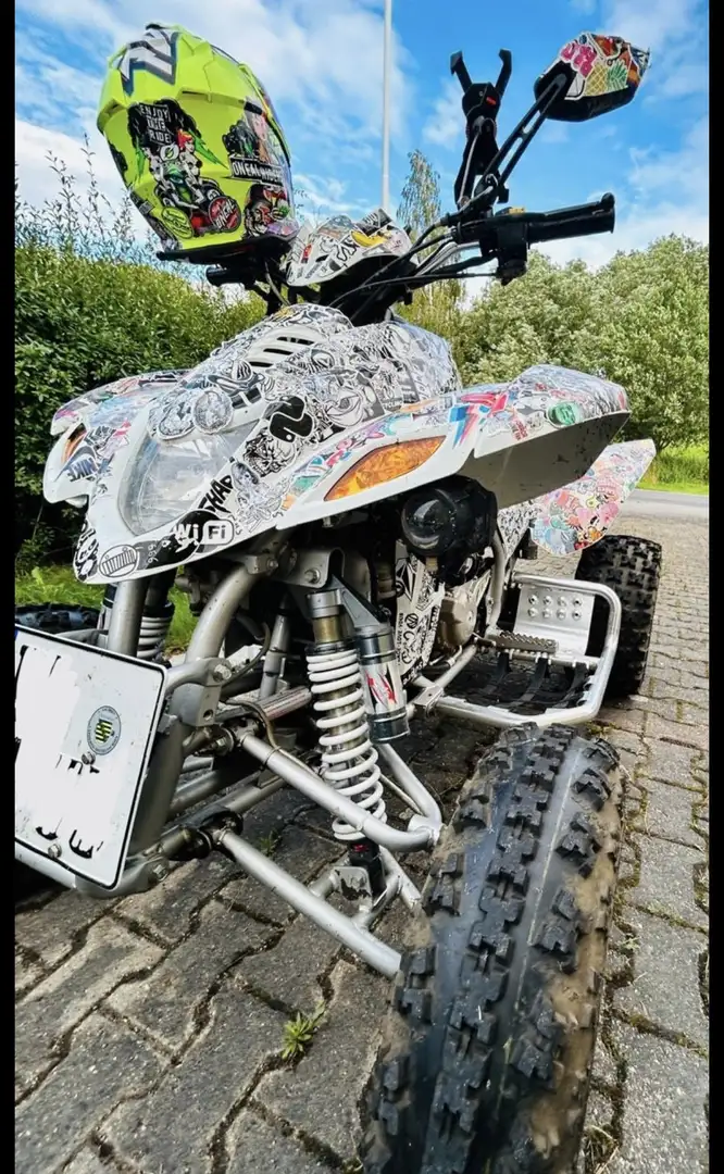 Dinli 450 Special Bílá - 1