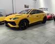 Lamborghini Urus 4.0 V8 PERFORMANTE  IVA ESPOSTA KM 8.500 Giallo - thumbnail 2