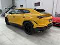 Lamborghini Urus 4.0 V8 PERFORMANTE  IVA ESPOSTA KM 8.500 Giallo - thumbnail 8
