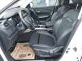 Renault Kadjar RENAULT KADJAR TCE 160 Intens Wit - thumbnail 5