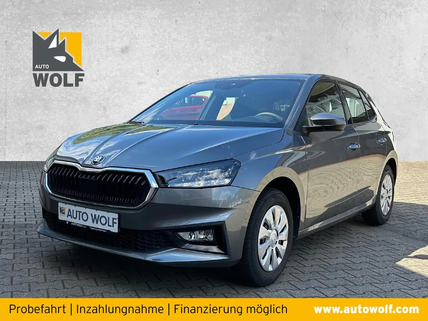 Skoda Fabia 1.0 TSI Selection *PDC*AppConnect* Grau - 1