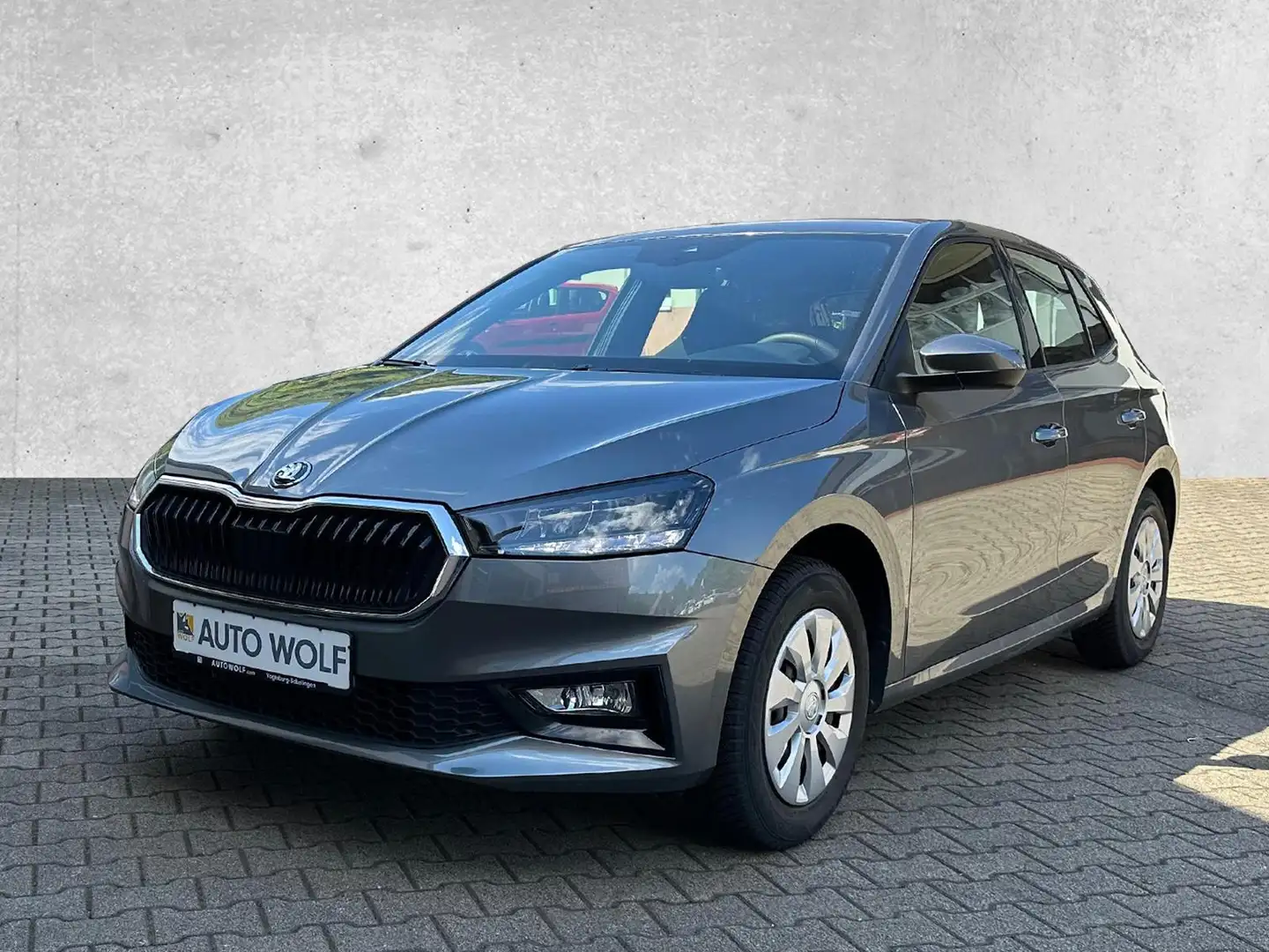 Skoda Fabia 1.0 TSI Selection *PDC*AppConnect* Grau - 2