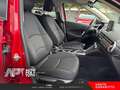 Mazda 2 2 1.5 m-hybrid Exceed 90cv - thumbnail 15