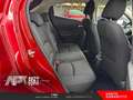 Mazda 2 2 1.5 m-hybrid Exceed 90cv - thumbnail 14