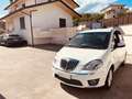 Lancia MUSA PLATINO 1.6 M.JET 120CV EURO 5A UNIPRO' Weiß - thumbnail 5