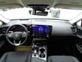 Lexus NX 350h E-Four Executive Line Aut. Tech - Paket Silber - thumbnail 11