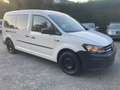 Volkswagen Caddy 4xDbleCabine 5pl Utilitaire €6 àpd 11850+TVA Blanc - thumbnail 12
