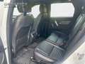 Land Rover Discovery Sport P300e R-Dynamic AWD*LED*AHK* Weiß - thumbnail 15