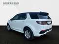 Land Rover Discovery Sport P300e R-Dynamic AWD*LED*AHK* Weiß - thumbnail 4