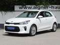 Kia Rio Rio 1,25 MPI Silber ISG Weiß - thumbnail 1