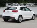 Kia Rio Rio 1,25 MPI Silber ISG Weiß - thumbnail 5