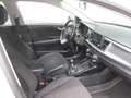 Kia Rio Rio 1,25 MPI Silber ISG Weiß - thumbnail 8