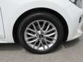 Kia Rio Rio 1,25 MPI Silber ISG Weiß - thumbnail 12