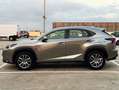 Lexus NX 300h 2.5 EXECUTIVE 4WD con CUERO COMPLETO, CÁMARA TRAS Plateado - thumbnail 9