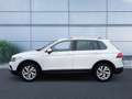 Volkswagen Tiguan MOVE 1.5 TSI 110kW(150PS), DSG, AHK, EHK, Weiß - thumbnail 3