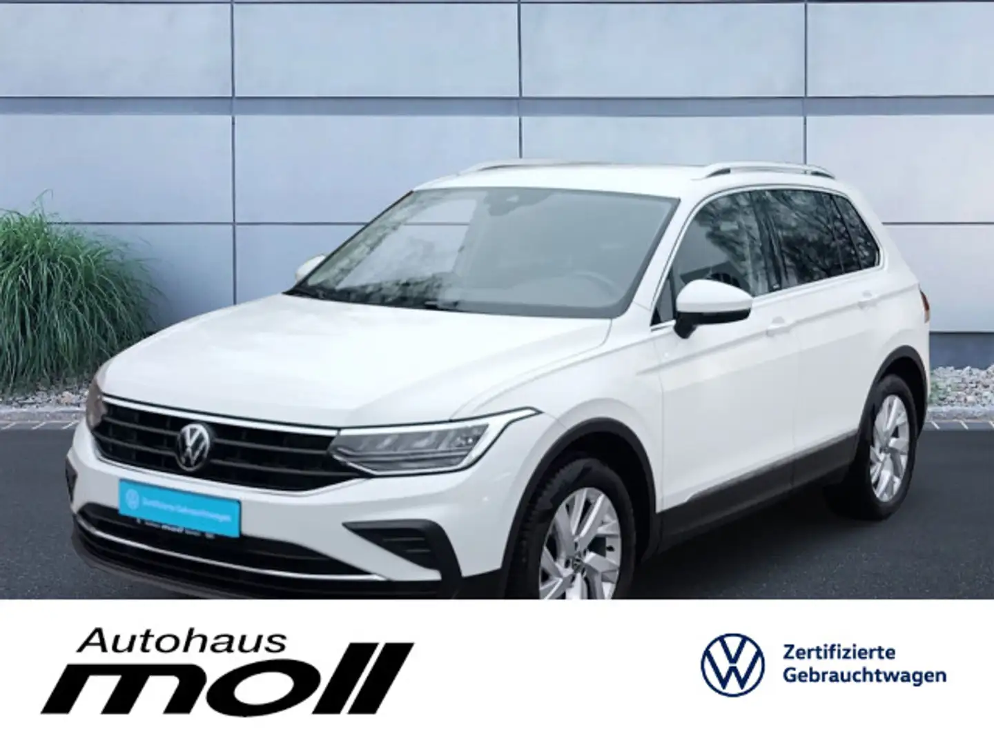 Volkswagen Tiguan MOVE 1.5 TSI 110kW(150PS), DSG, AHK, EHK, Weiß - 1