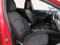 Ford Focus Sportbreak 1.0 Ecoboost MHEV ST-Line 155 Aut. Rojo - thumbnail 10