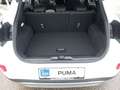Ford Puma TITANIUM 125 PS EcoBoost/Benzin Mild-Hybrid (PR... Weiß - thumbnail 9