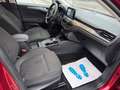 Ford Focus Lim. Active Rouge - thumbnail 10