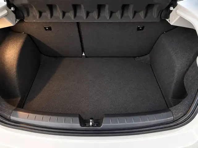 Seat Ibiza view 23